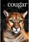 Cougar® Cougar®