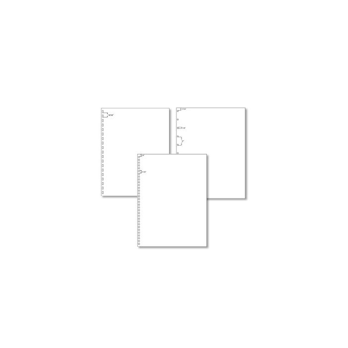 Special Bindery & Publishing Punched Formats