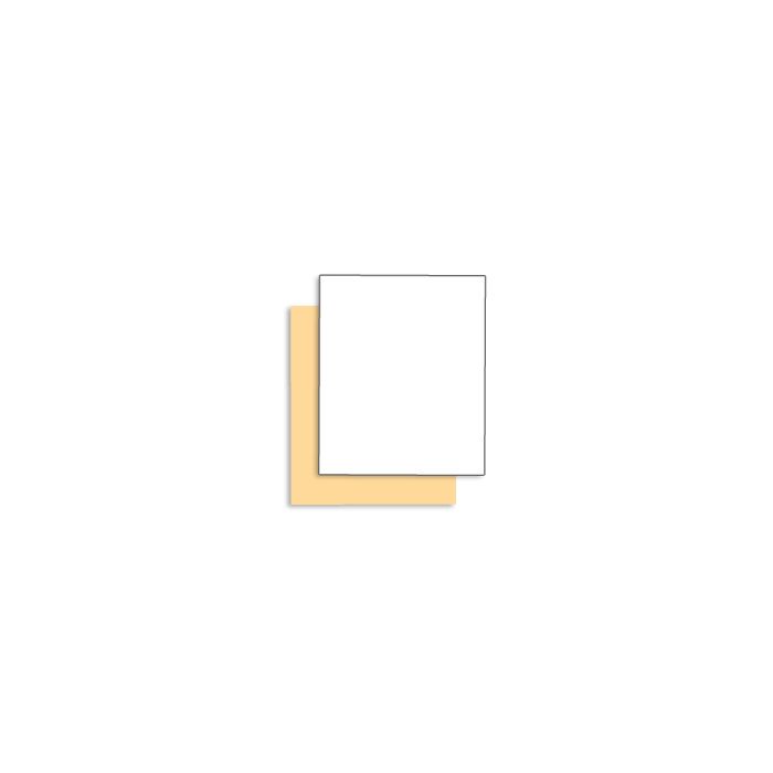 Singles Coated Front 105 lb. Tag Carbonless Paper